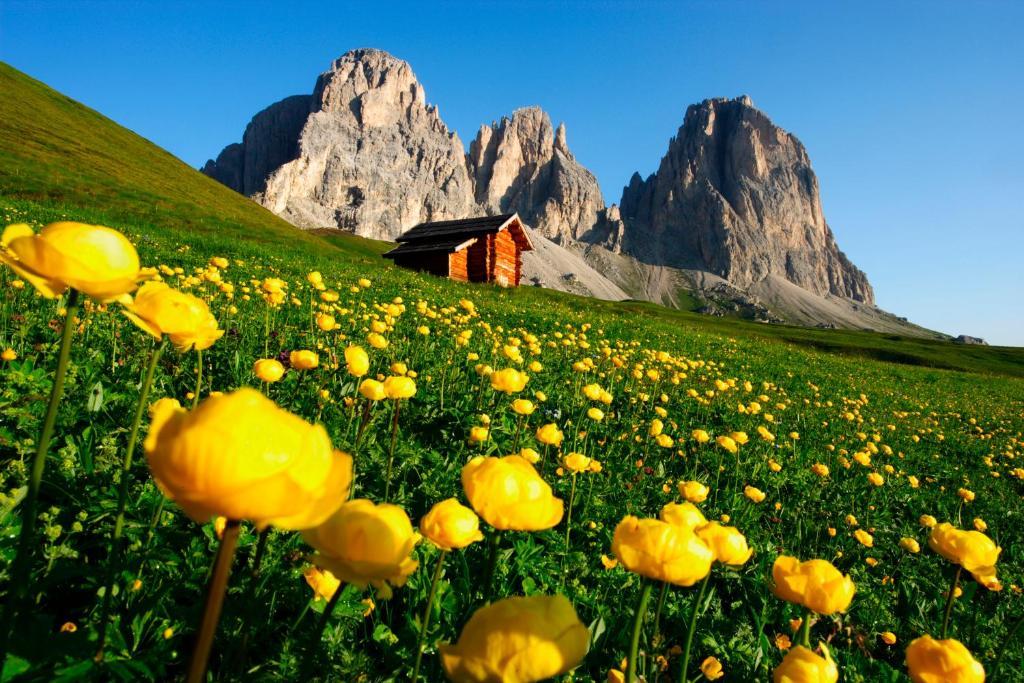 Hotel Col Di Lana Каназей Екстериор снимка